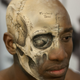 Illustration for article titled Lovely medical illustration of the human skull painted directly on a human head